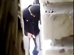 لین وگا و آنیا آیوی گربه ها را لیس می زنند دانلود فیلم سینمایی سکسی بدون سانسور