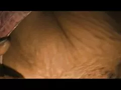 شلخته با ویبراتور گربه دوست دختر گره خورده اش را تکان می دانلود فیلم سکس سینمایی دهد