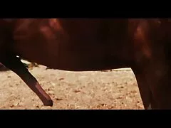 آنیتای پیر با فیلم سینمایی سکسی خارجی دوشش های بزرگ توسط مردی سرخ می شود